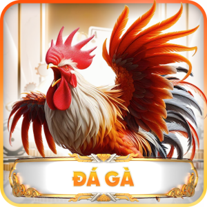 banner-da-ga-open88-300x300